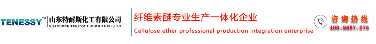 山東特耐斯化工有限公司